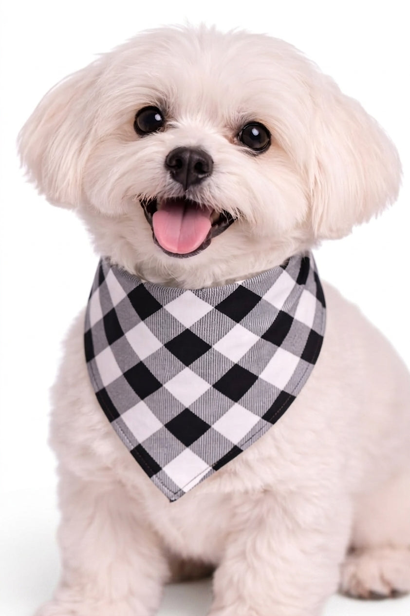 Pañuelo a Cuadros para Perro